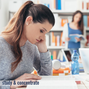 Ear Plugs Snoozers-Studying-Silicone Ear Plugs